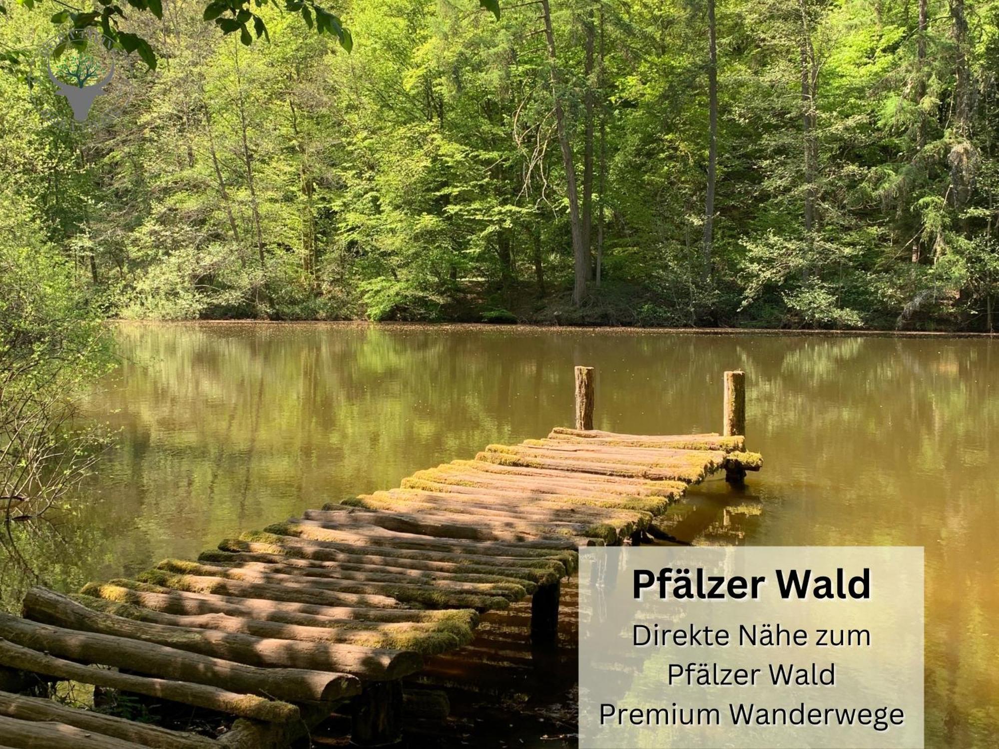 Schuhpartment Am Pfaelzer Wald Naehe Outlet Center Zweibruecken Apartment Pirmasens Ngoại thất bức ảnh
